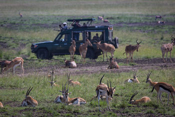 Hotel Elewana Sand River Masai Mara Maasai Mara Esterno foto